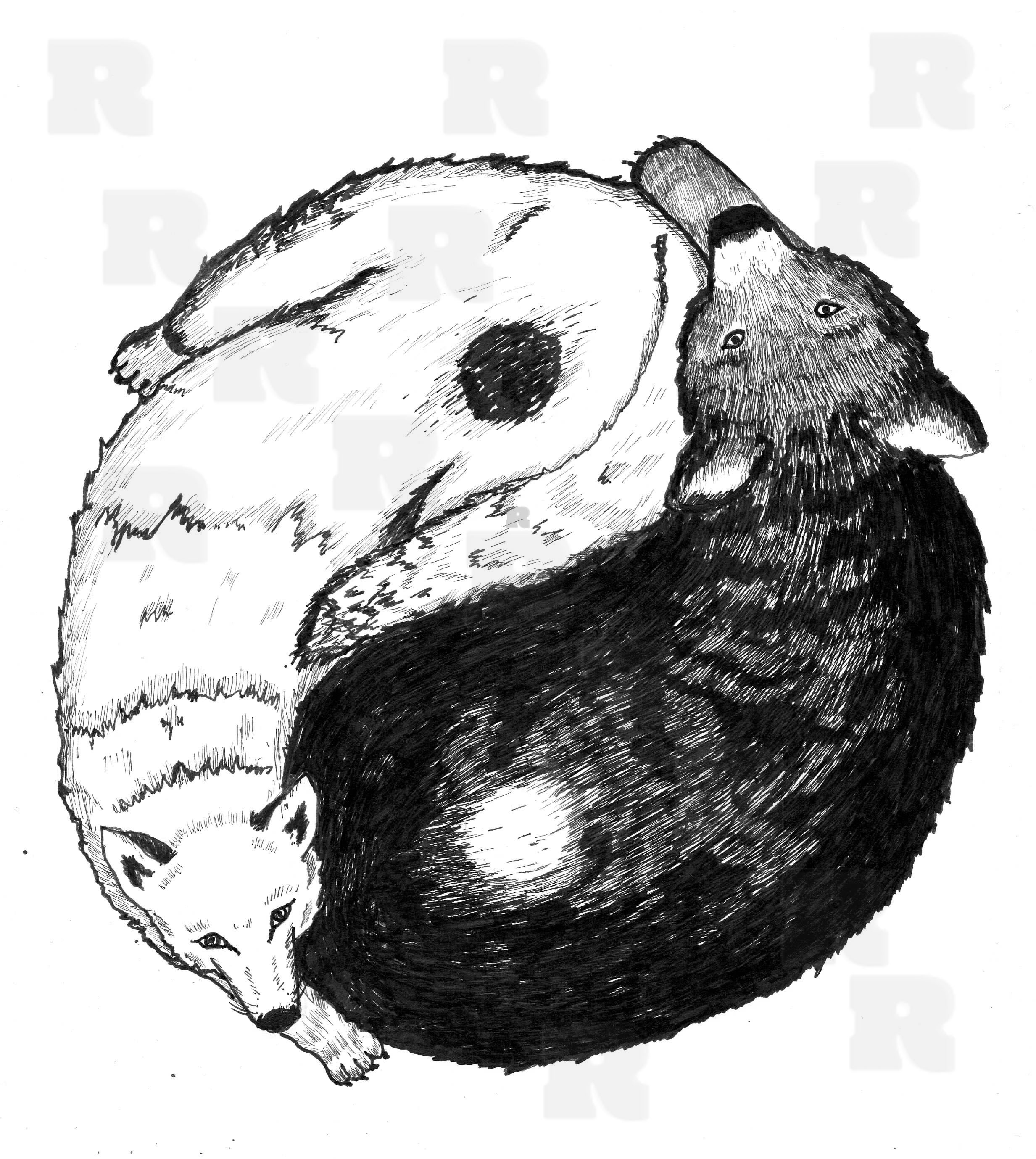 Ink drawing of a black bear and a white wold forming a yin-yang symbol